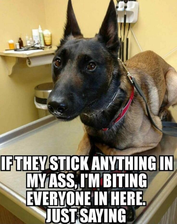 IF THEY STICK ANYTHING IN MY ASS, I'M BITING EVERYONE IN HERE. JUST SAYING