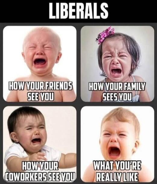 LIBERALS
HOW YOUR FRIENDS SEE YOU
HOW YOUR FAMILY SEES YOU
HOW YOUR COWORKERS SEE YOU
WHAT YOU'RE REALLY LIKE