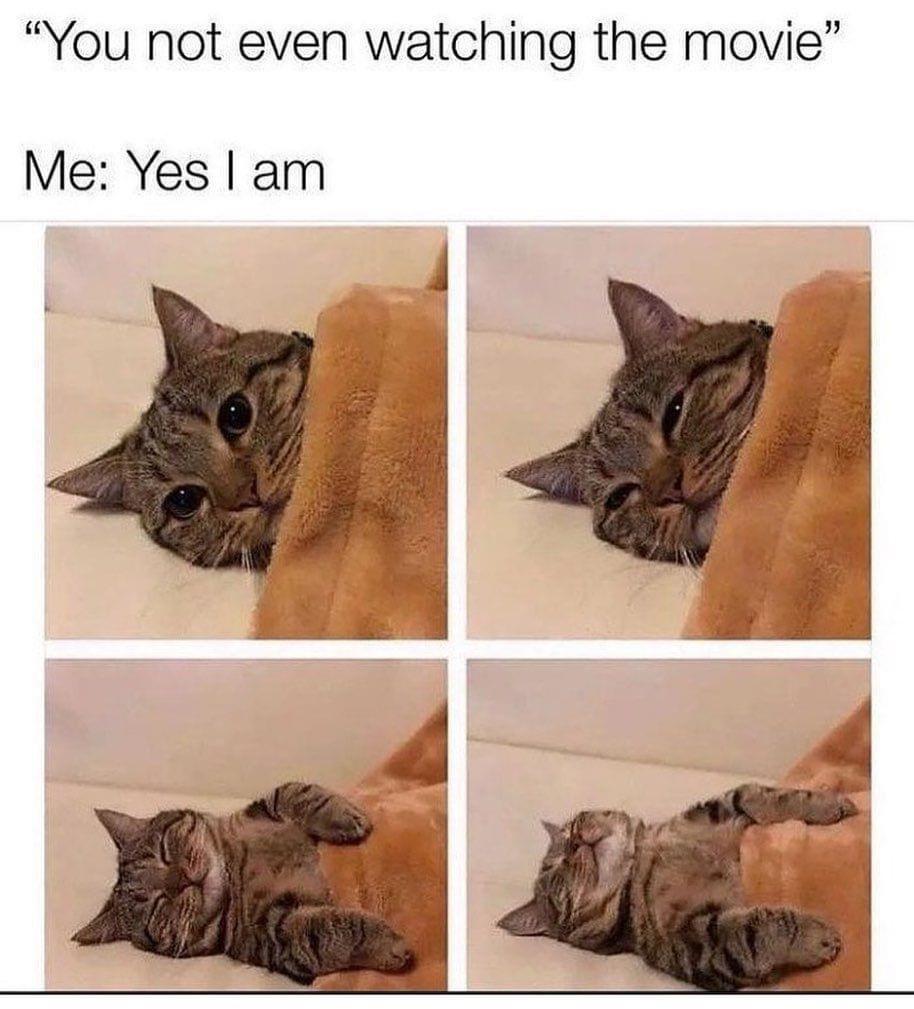You not even watching the movie Me Yes am
