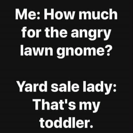 Me: How much for the angry lawn gnome?
Yard sale lady: That's my toddler.