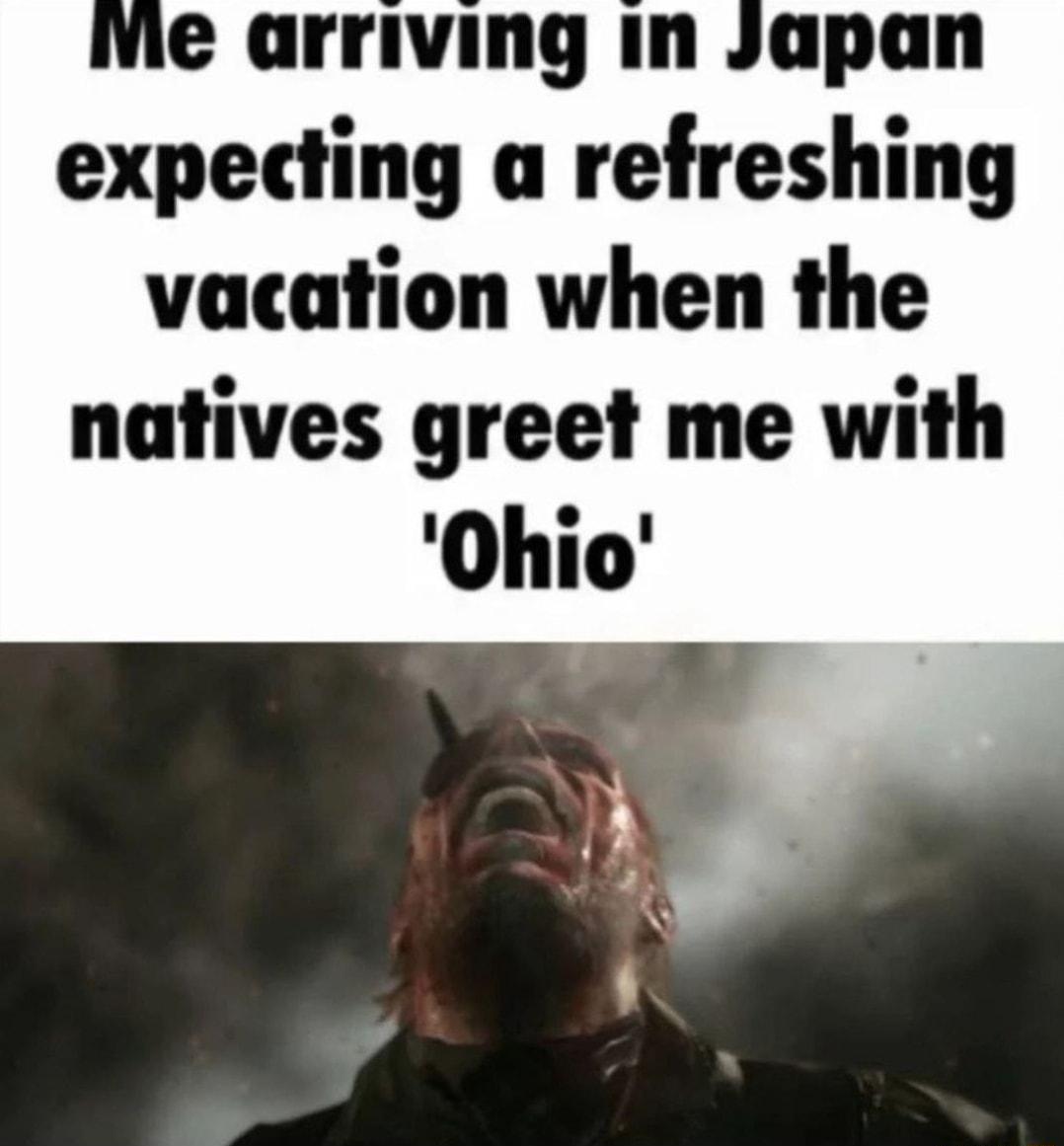 e arriving in Japan expecting a refreshing vacation when the natives greet me with