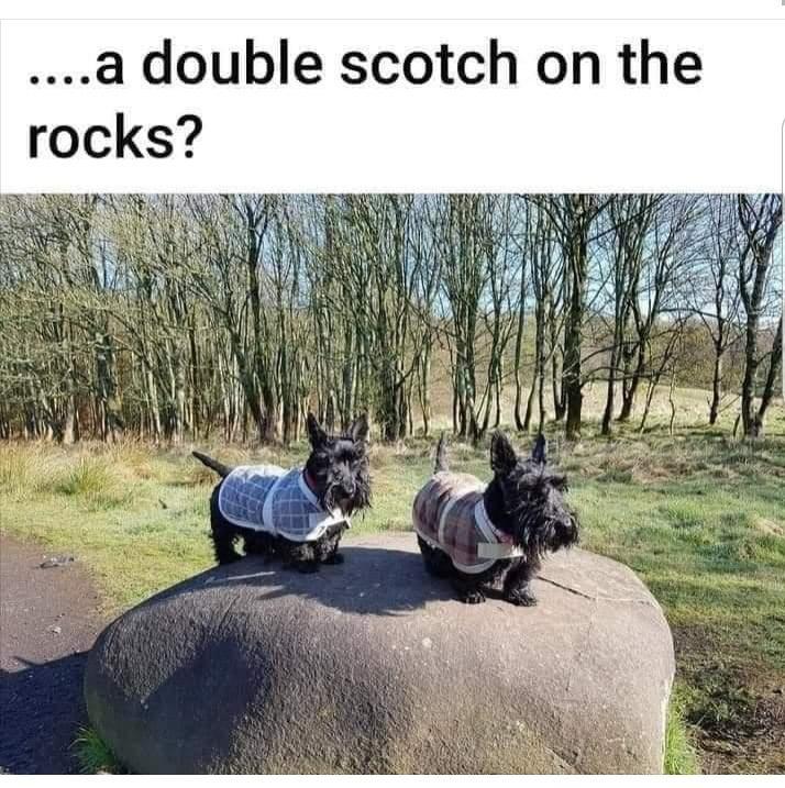 a double scotch on the