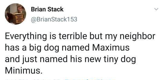 Brian Stack BrianStack153 Everything is terrible but my neighbor has a big dog named Maximus and just named his new tiny dog Minimus