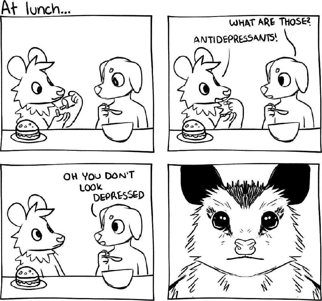 At lunch WHAT ARE THOSEZ ANTIDEPRESSANTS