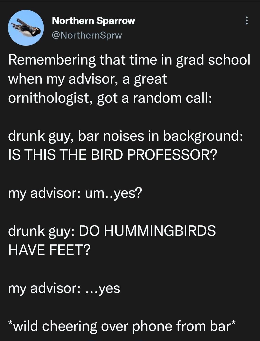 Northern Sparrow NorthernSprw Remembering that time in grad school when my advisor a great el aTiiae o1isy A Tol W Tale Ty Wor 1 drunk guy bar noises in background IS THIS THE BIRD PROFESSOR my advisor umyes drunk guy DO HUMMINGBIRDS R 5l g my advisor yes wild cheering over phone from bar
