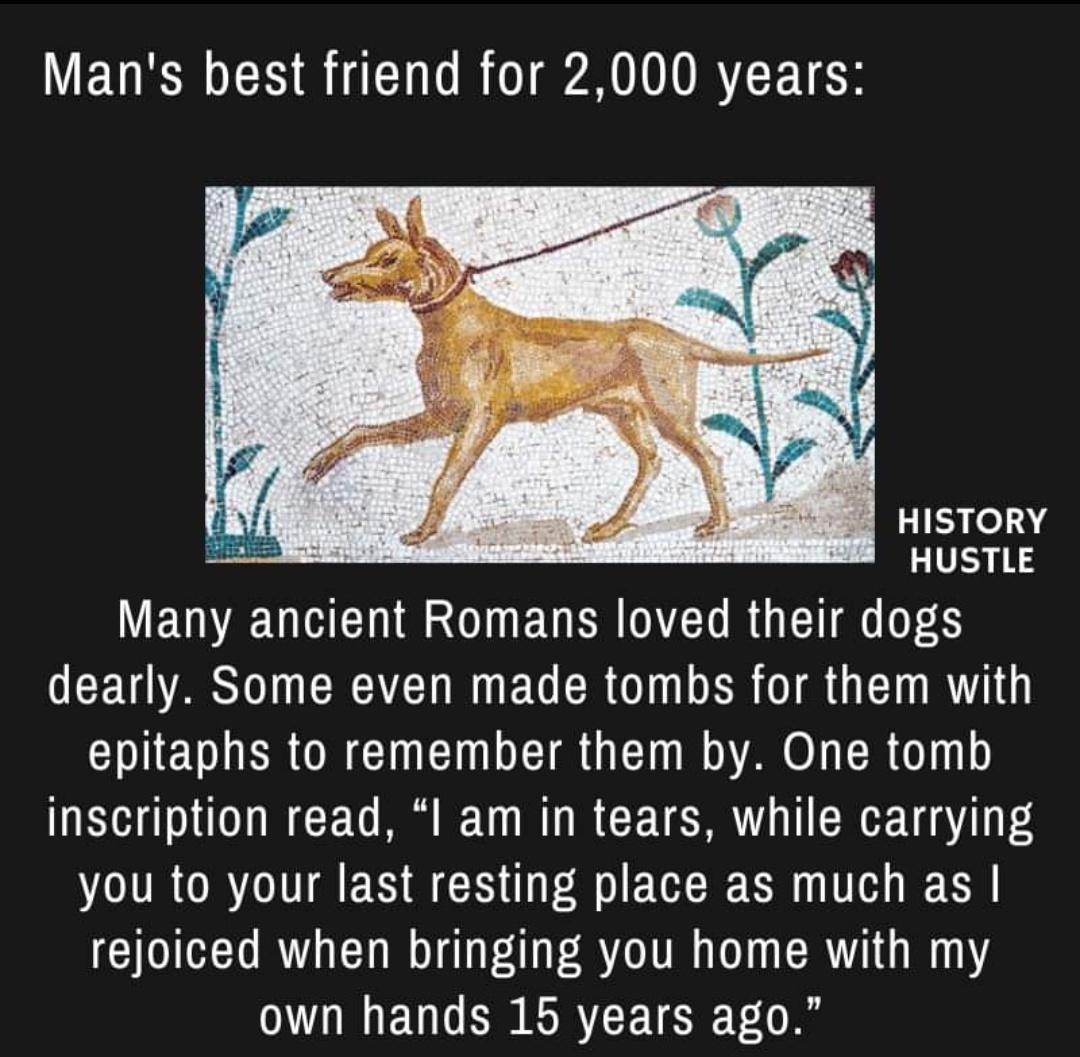 Mans best friend for 2000 years HISTORY HUSTLE Many ancient Romans loved their dogs O CETOASOICREEI R EG ER G ER IR G TR T EN I ER OB CIUET TR G T A O L TR o 1ys inscription read l am in tears while carrying you to your last resting place as much as rejoiced when bringing you home with my own hands 15 years ago