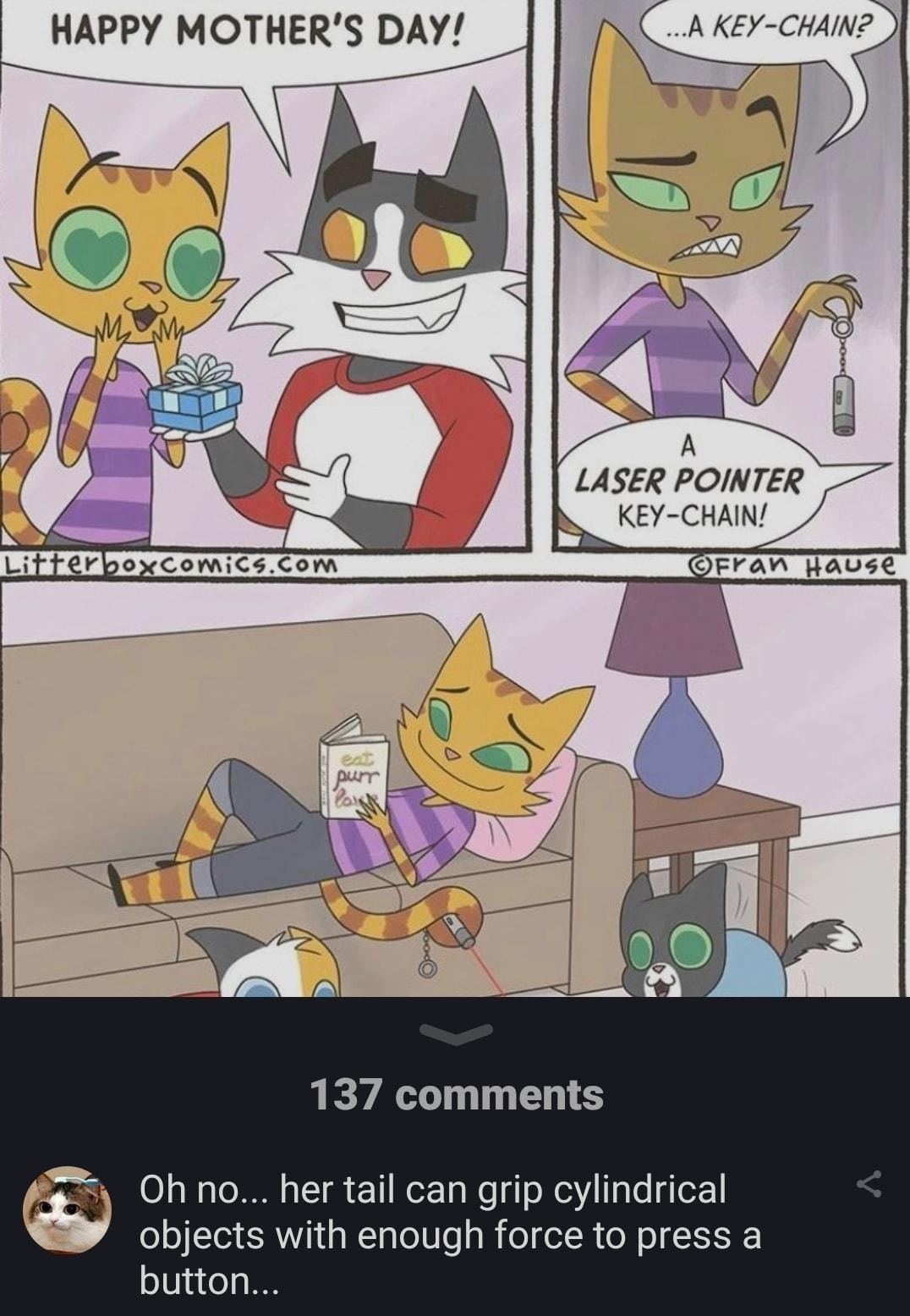 HAPPY MOTHERS DAY _ A KEY CHAIN AN LASER POINTER KEY CHAIN 137 comments Oh no her tail can grip cylindrical objects with enough force to press a