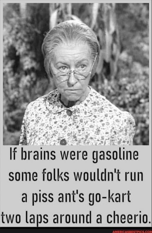 If brains were gasoline some folks wouldn't run a piss ant's go-kart two laps around a cheerio.