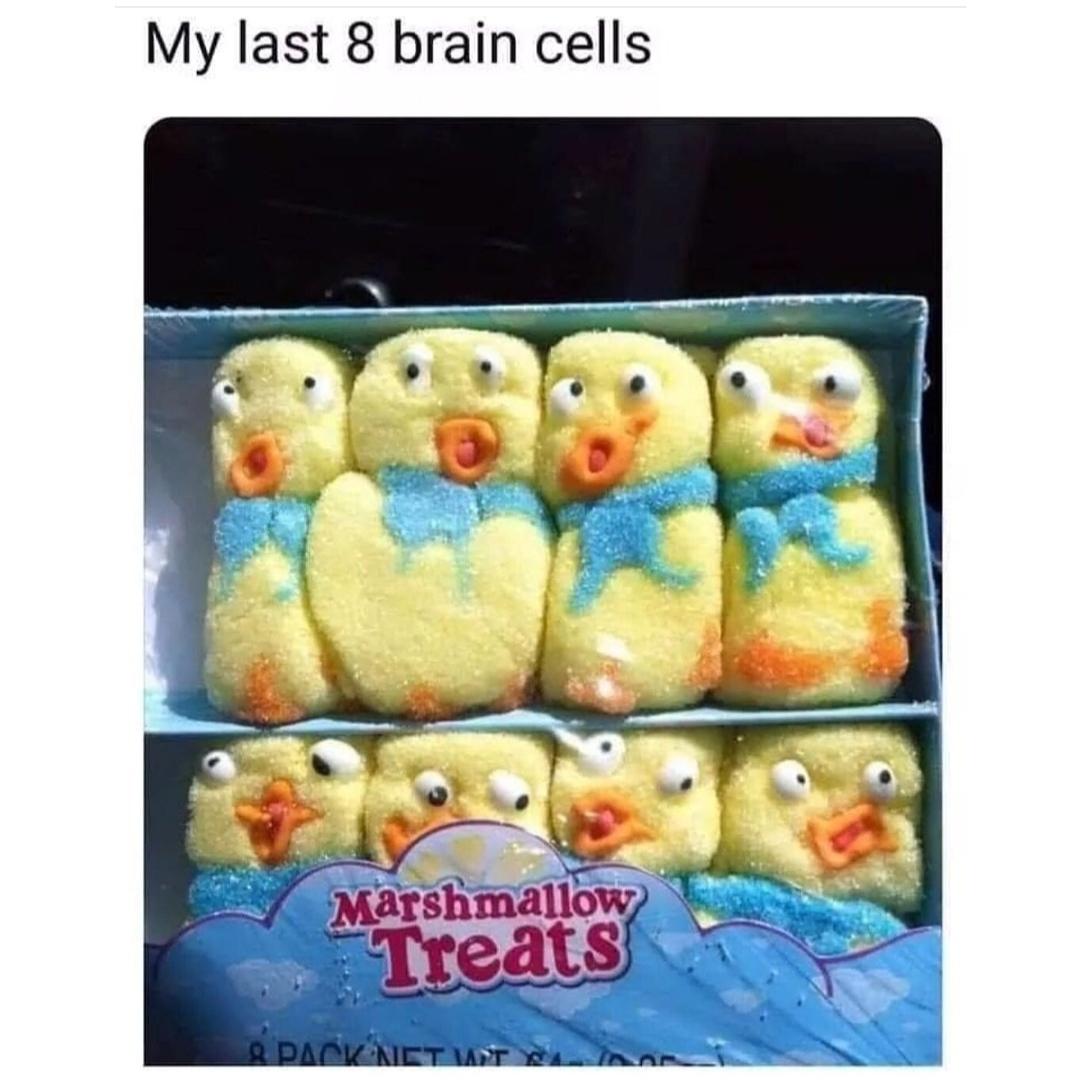 My last 8 brain cells