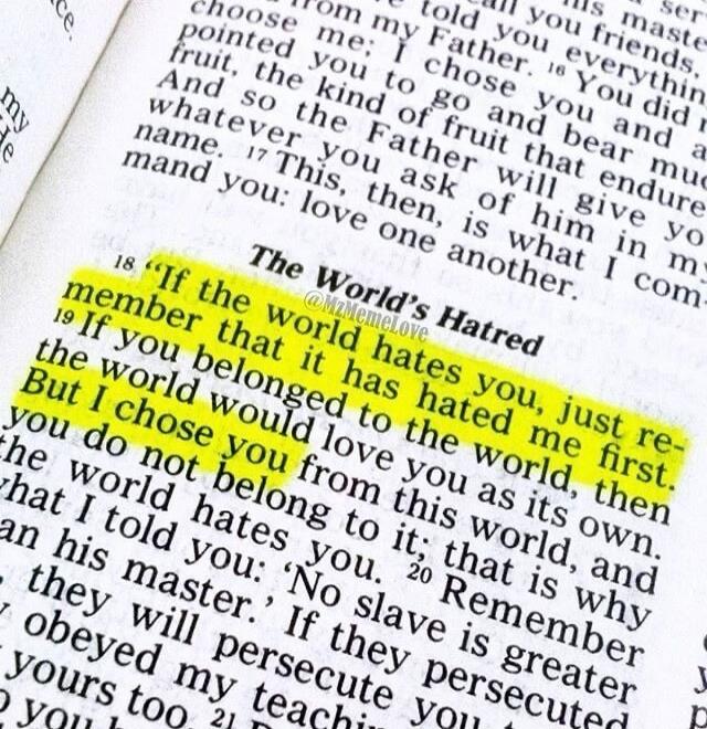The World's Hatred. If the world hates you, just remember that it has hated me first. If you belonged to the world, then the world would love you as its own. But I chose you from this world, and you do not belong to it; that is why the world hates you.