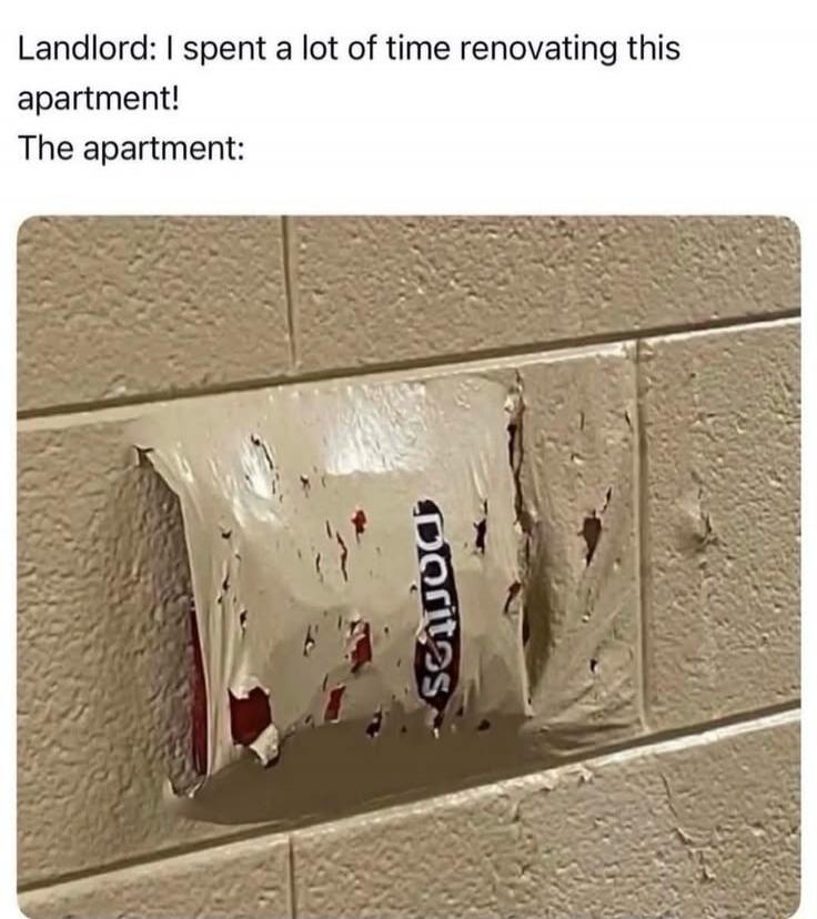 LANDLORD: I spent a lot of time renovating this apartment! The apartment: Doritos