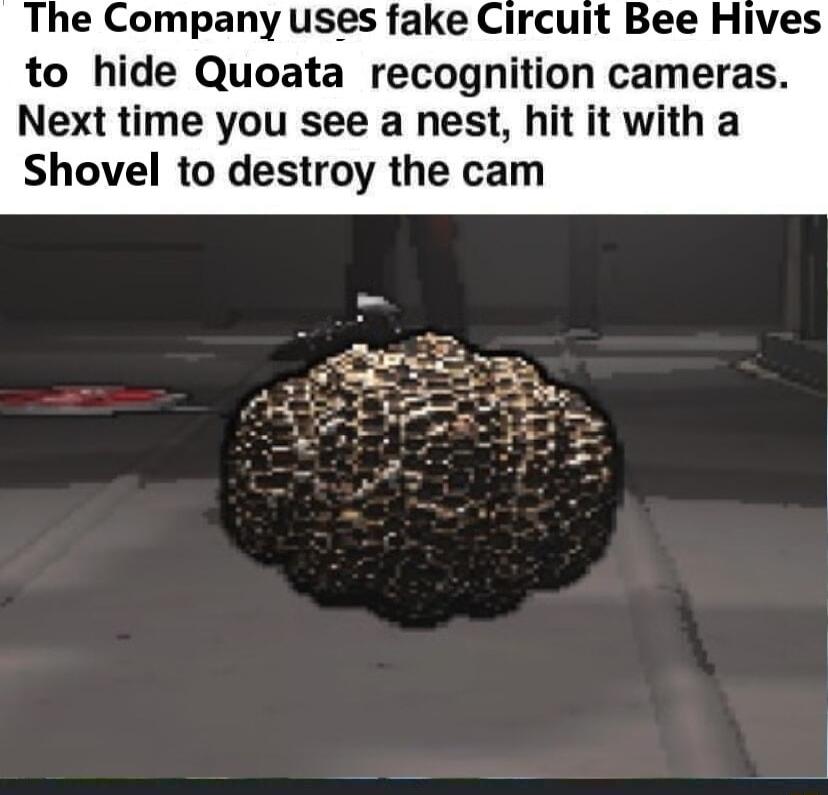 The Company uses fake Circuit Bee Hives to hide Quoata recognition cameras Next time you see a nest hit it wi Shovel to destroy the cam