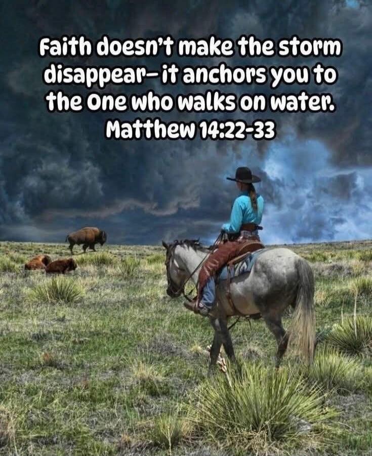 Faith doesn’t make the storm disappear—it anchors you to the one who walks on water. Matthew 14:22-33