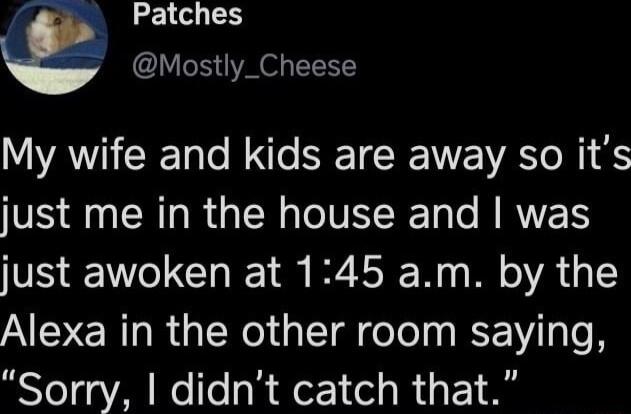 Patches s Mostly_Cheese My wife and kids are away so its just me in the house and was just awoken at 145 am by the YR RGN I eToln KV To 8 Sorry didnt catch that