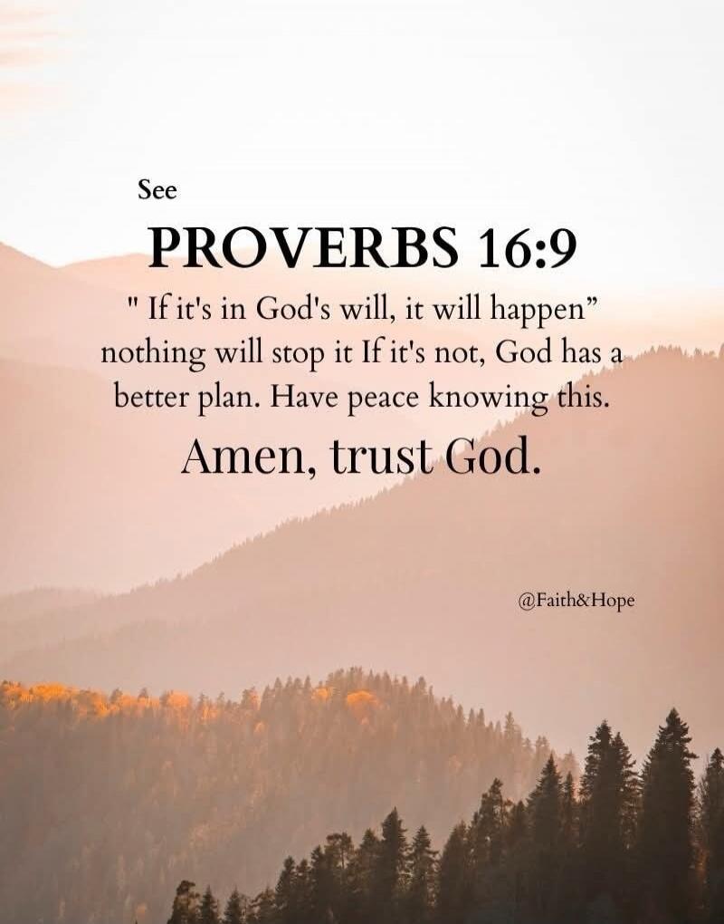 See PROVERBS 16:9 