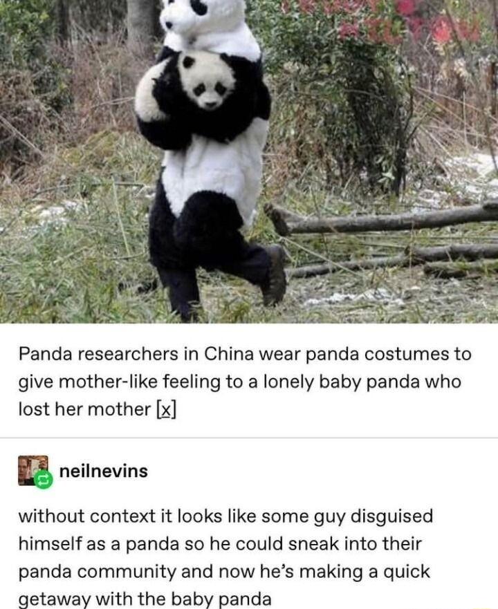 Panda researchers in China wear panda costumes to give mother like feeling to a lonely baby panda who lost her mother x BB neilnevins without context it looks like some guy disguised himself as a panda so he could sneak into their panda community and now hes making a quick getaway with the baby panda