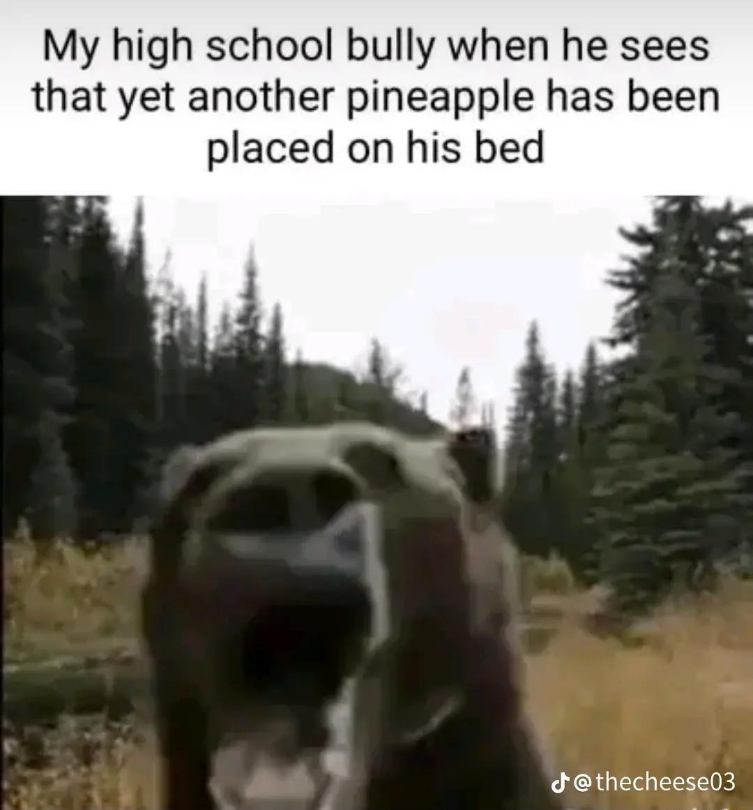 My high school bully when he sees that yet another pineapple has been placed on his bed thecheese03