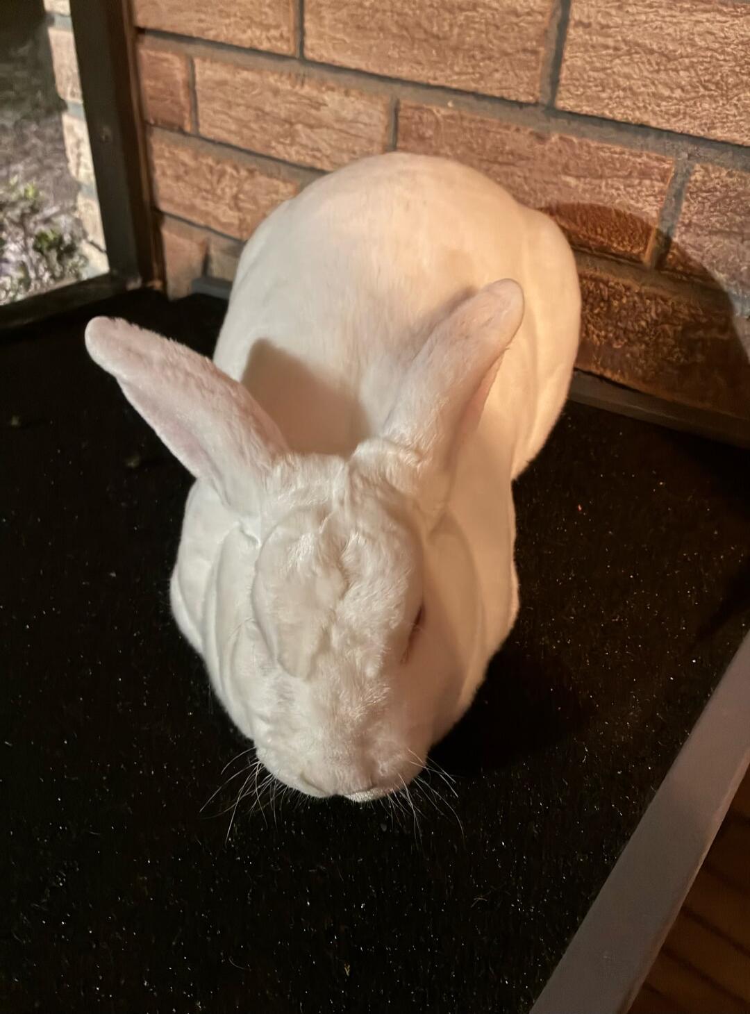 A white rabbit statue placed on a black surface against a brick wall.