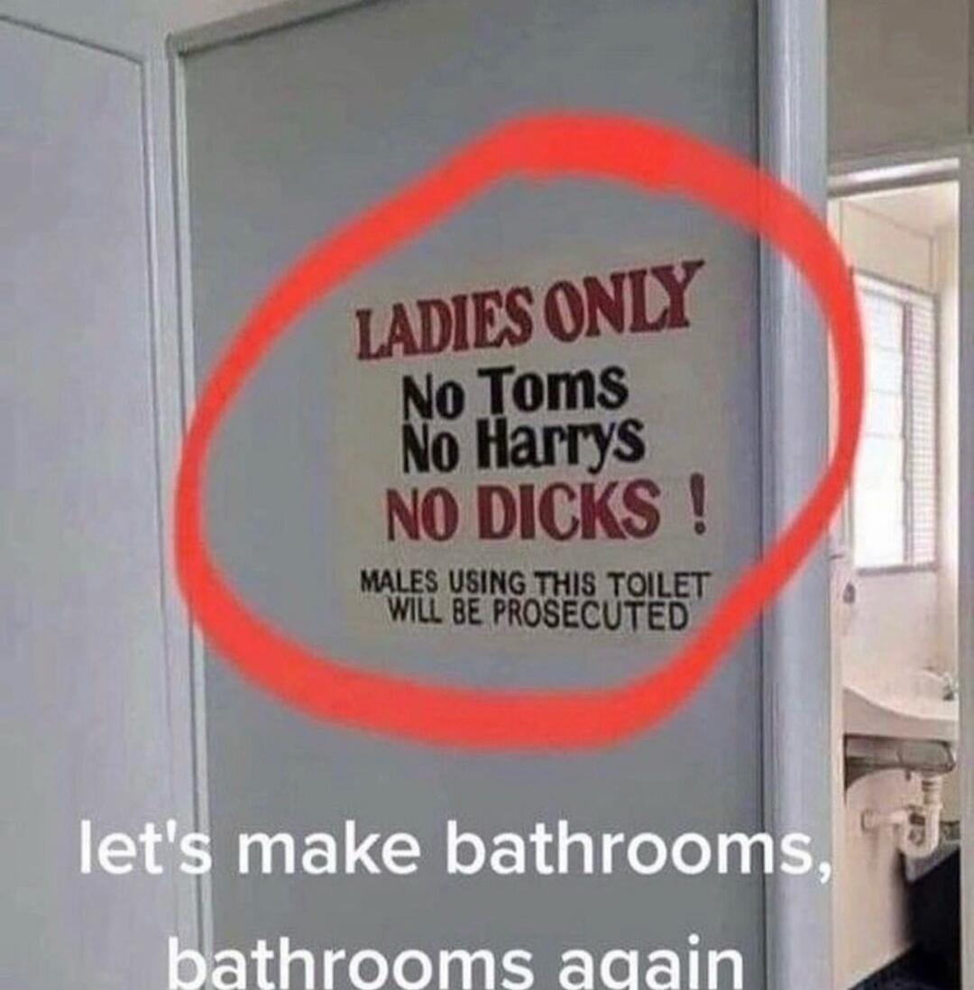 LADIES ONLY No Toms No Harrys NO DICKS ! MALES USING THIS TOILET WILL BE PROSECUTED let's make bathrooms, bathrooms again