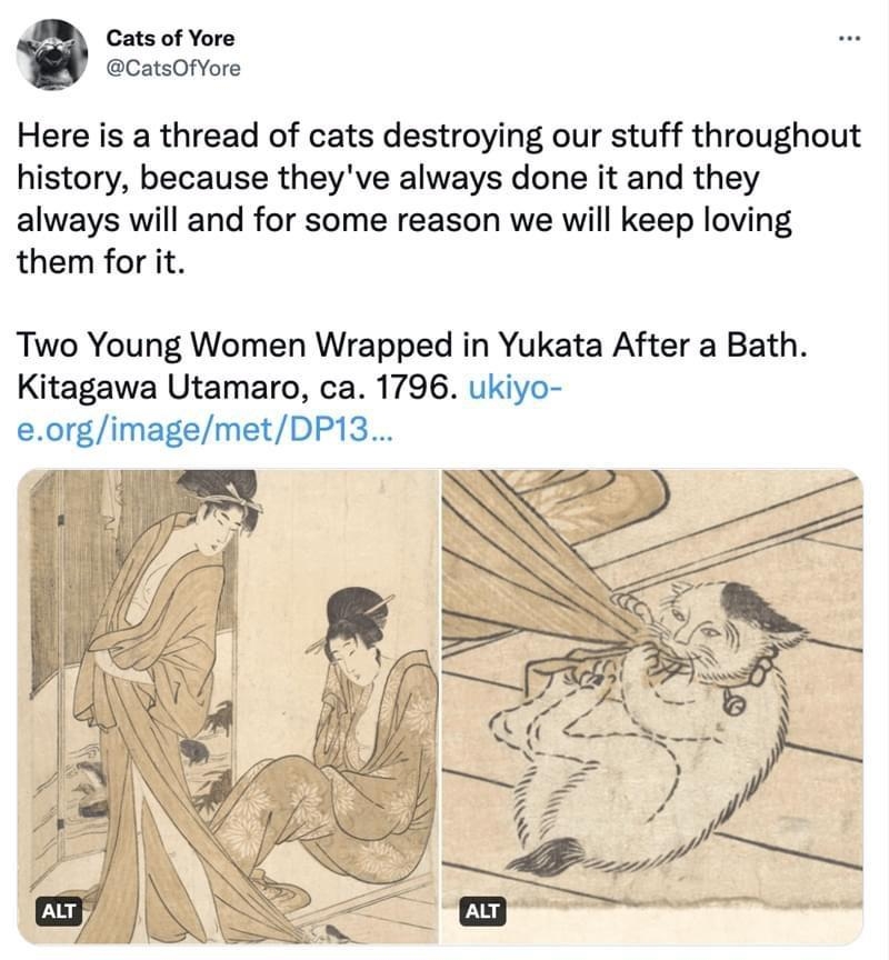 Here is a thread of cats destroying our stuff throughout history because theyve always done it and they always will and for some reason we will keep loving them for it Two Young Women Wrapped in Yukata After a Bath Kitagawa Utamaro ca 1796 ukiyo eorgimagemetDP13 F P v i 1010 PM Aug 15 2022 Twitter Web App 148K Retweets 661 Quote Tweets 627K Likes