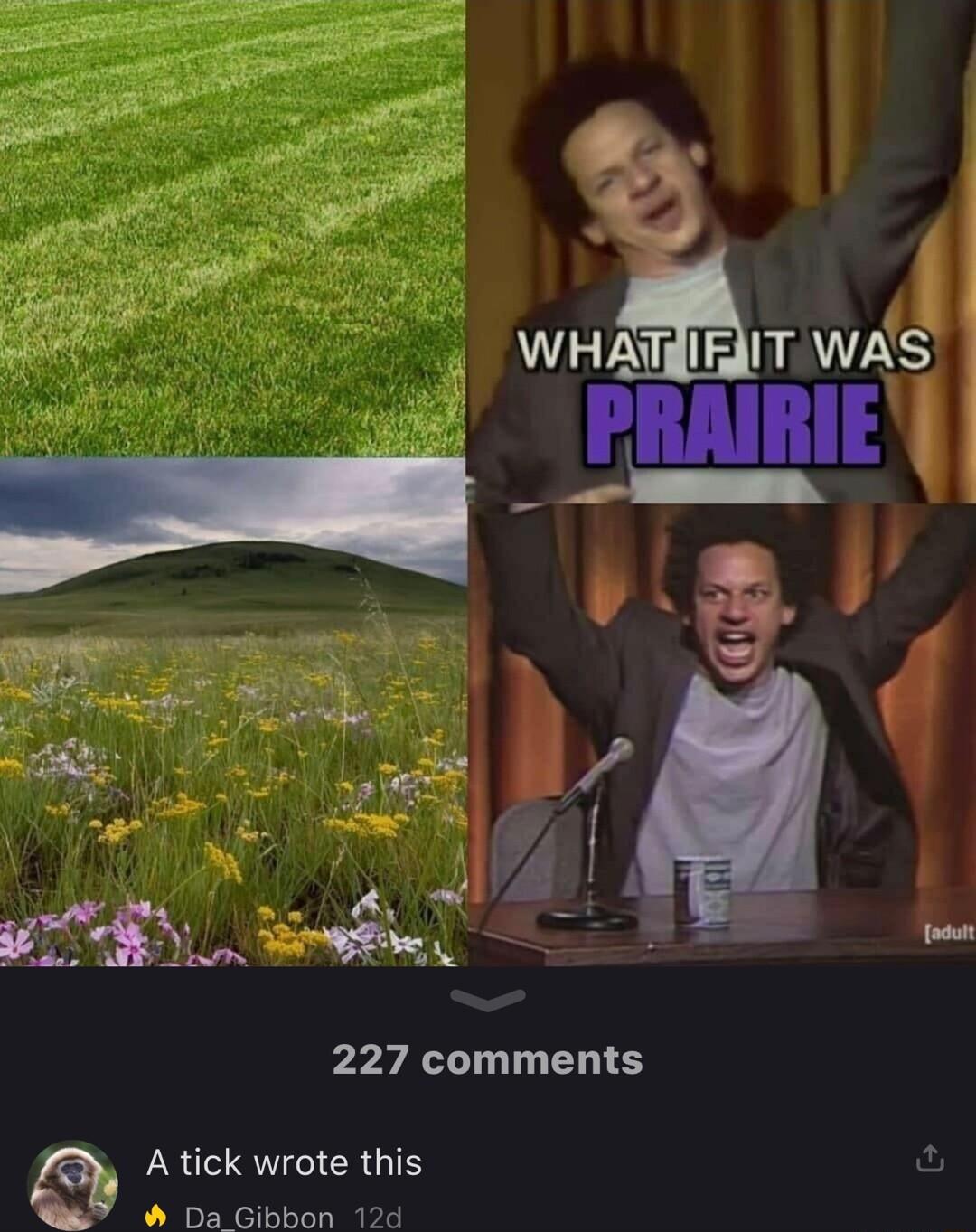 ALV 1R RIS PRAIRIE e 1 l I N 8 Fm a s e 227 comments A tick wrote this fu Da Gibbon 12d