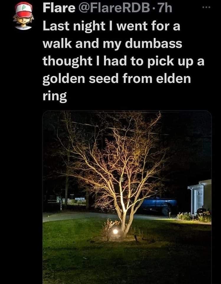 3 P XU S ETE1 0 S g Last night went for a walk and my dumbass LU GTITL L N ETe B ol o 1T QT o IF golden seed from elden ring