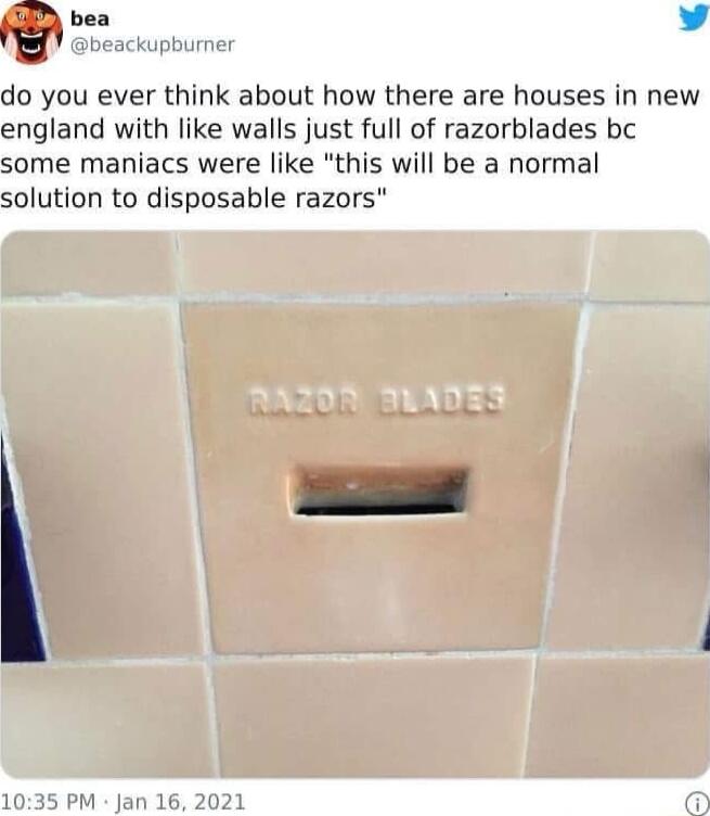 W bea v Vgi kupburner do you ever think about how there are houses in new england with like walls just full of razorblades bc some maniacs were like this will be a normal solution to disposable razors