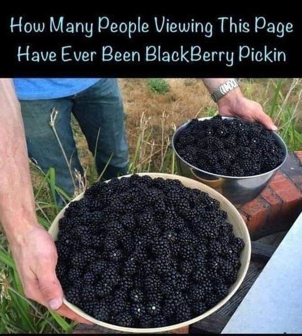 How Many People Viewing This Page Have Ever Been BlackBerry Pickin N