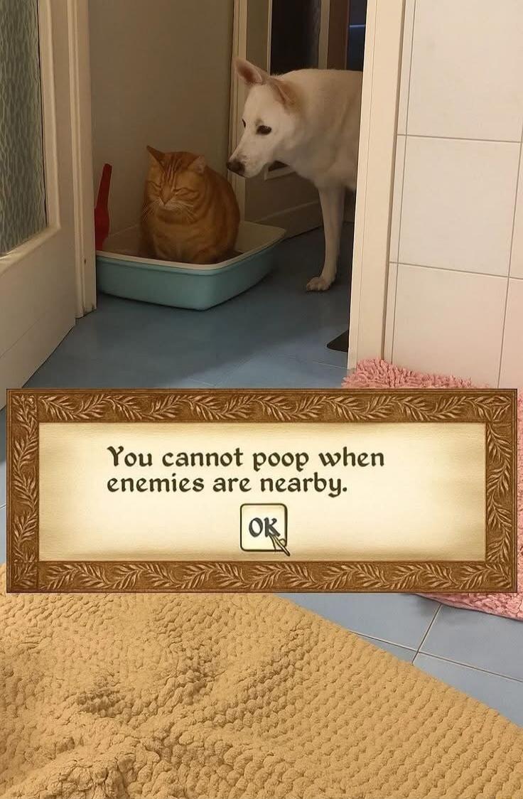 You cannot poop when enemies are nearby.
OK