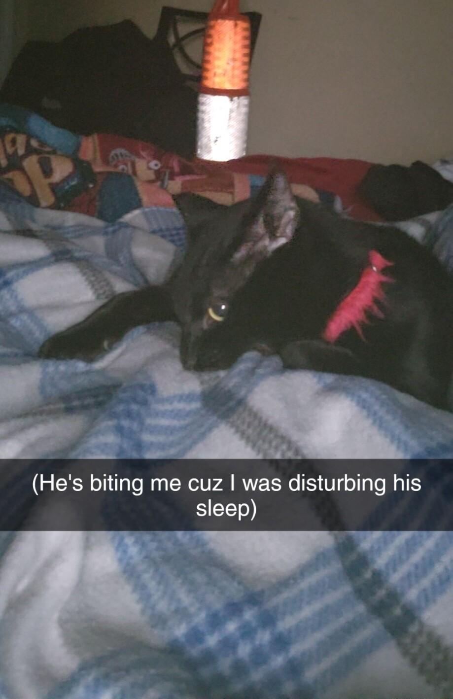 Hes biting me cuz was disturbing his S