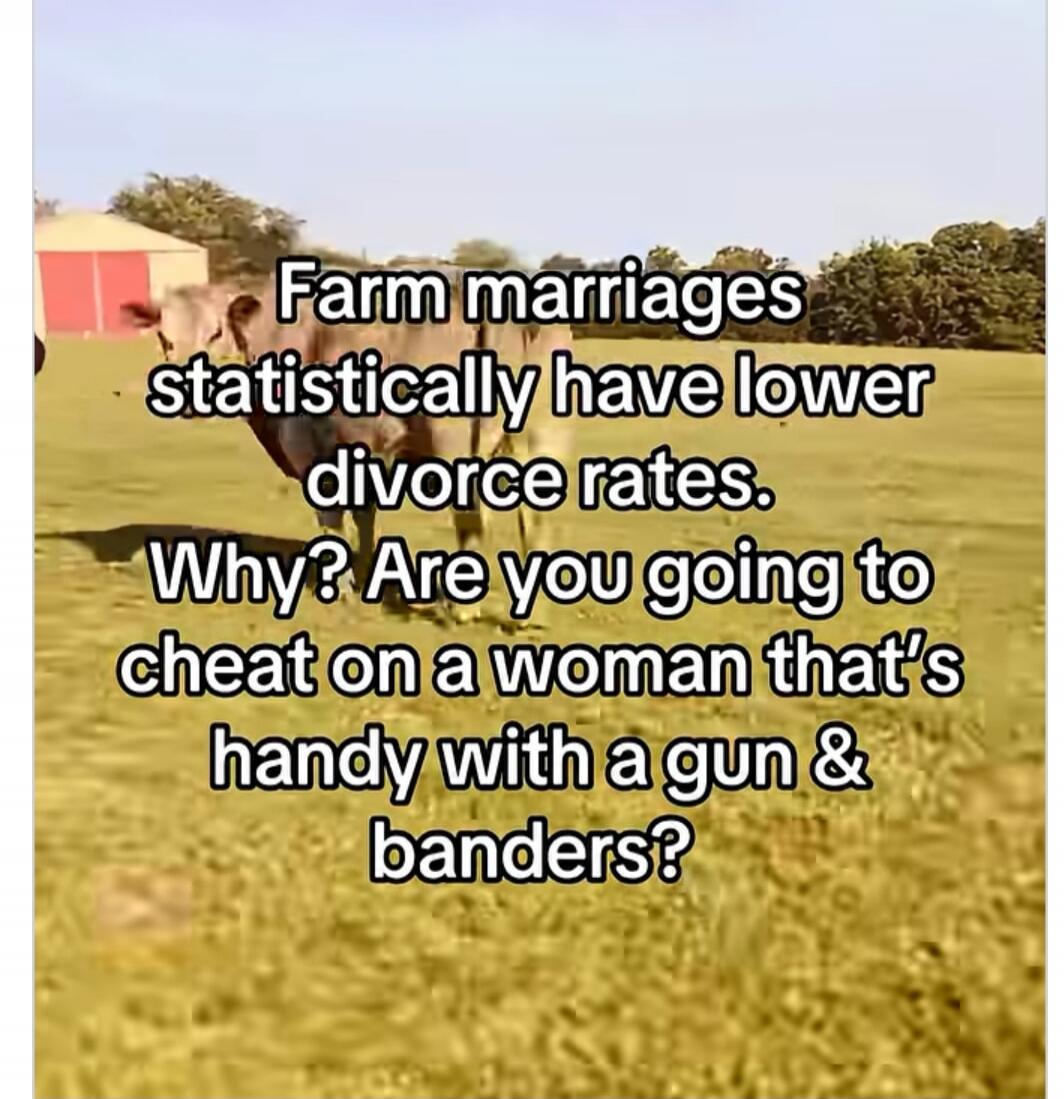Farm marriages statistically have lower divorce rates. Why? Are you going to cheat on a woman that's handy with a gun & banders?