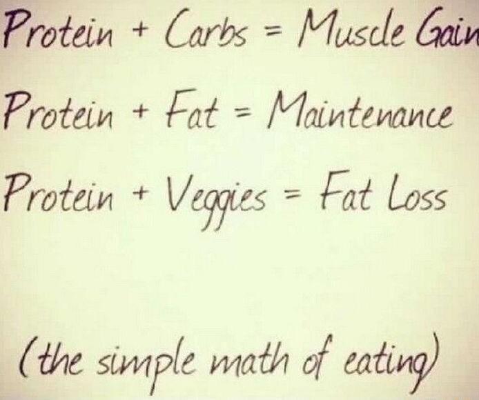 Protein Carvs Muscle Gain FProtein fat Maintevance Protein Vees fat Loss the SWFC wath of catuy