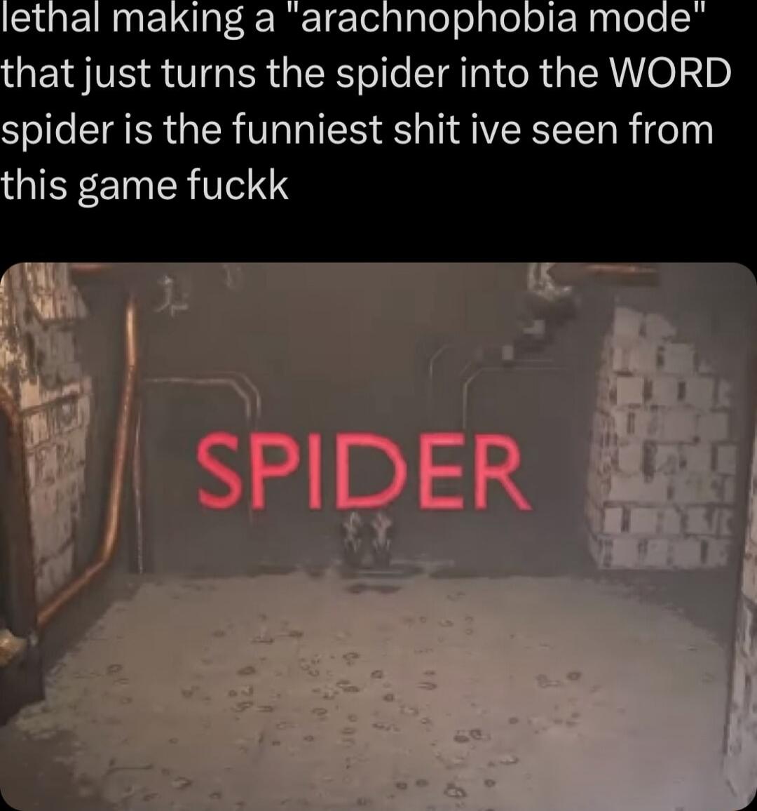 ClGEIRnELUel Rl e Teglalelolglel ol N gglele hat just turns the spider into the WORD spider is the funniest shit ive seen from IEE ETN R TN