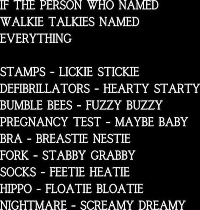 F THE PERSON WHO NAMED WALKIE TALKIES NAMED EVERYTHING STAMPS LICKIE STICKIE DEFIBRILLATORS HEARTY STARTY BUMBLE BEES FUZZY BUZZY PREGNANCY TEST MAYBE BABY BRA BREASTIE NESTIE FORK STABBY GRABBY SOCKS FEETIE HEATIE HIPPO FLOATIE BLOATIE NIGHTMARE SCREAMY DREAMY