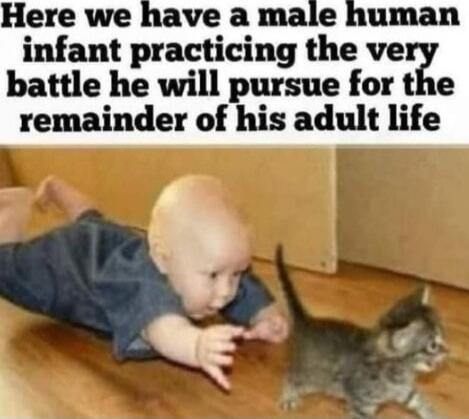 Here we have a male human infant practicing the very battle he will pursue for the remainder of his adult life