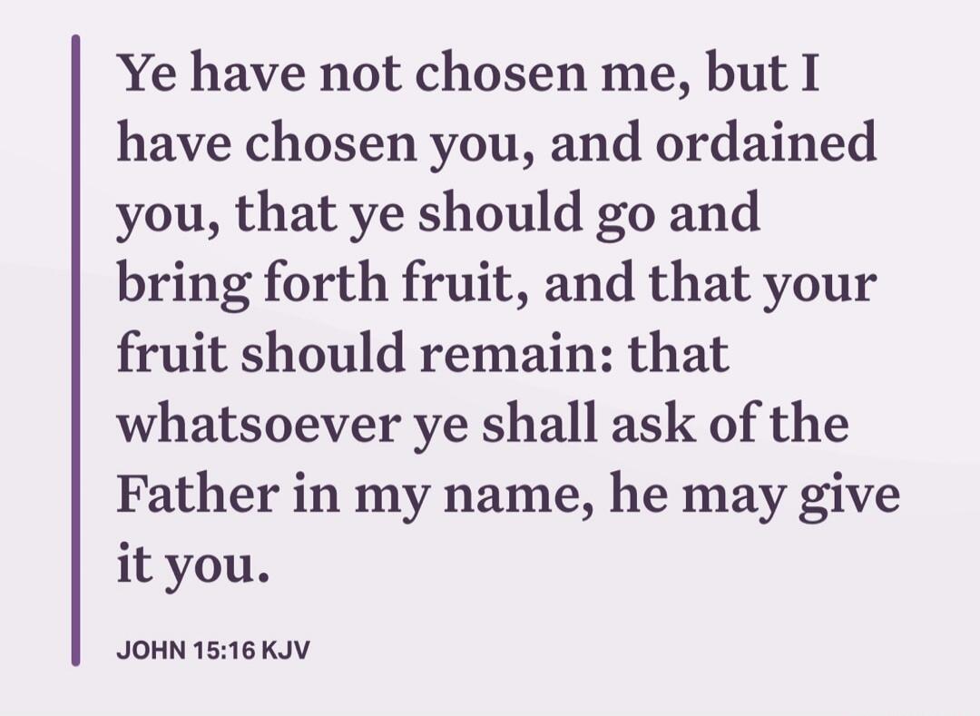 Ye have not chosen me, but I have chosen you, and ordained you, that ye should go and bring forth fruit, and that your fruit should remain: that whatsoever ye shall ask of the Father in my name, he may give it you. JOHN 15:16 KJV