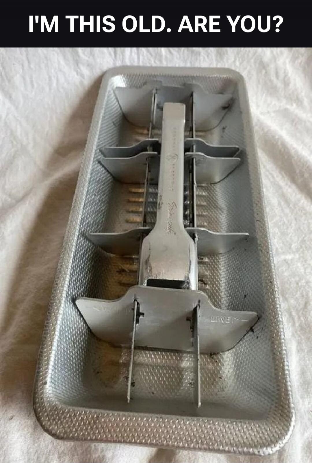 I'M THIS OLD. ARE YOU? An old metal ice cube tray with a lever mechanism.