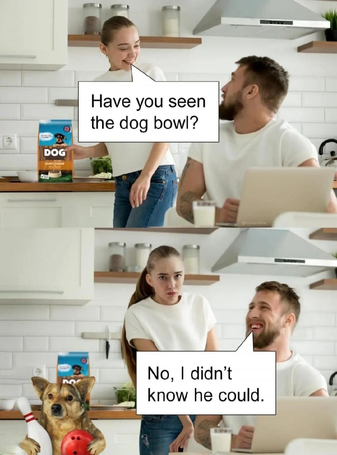 Have you seen the dog bowl? No, I didn't know he could.