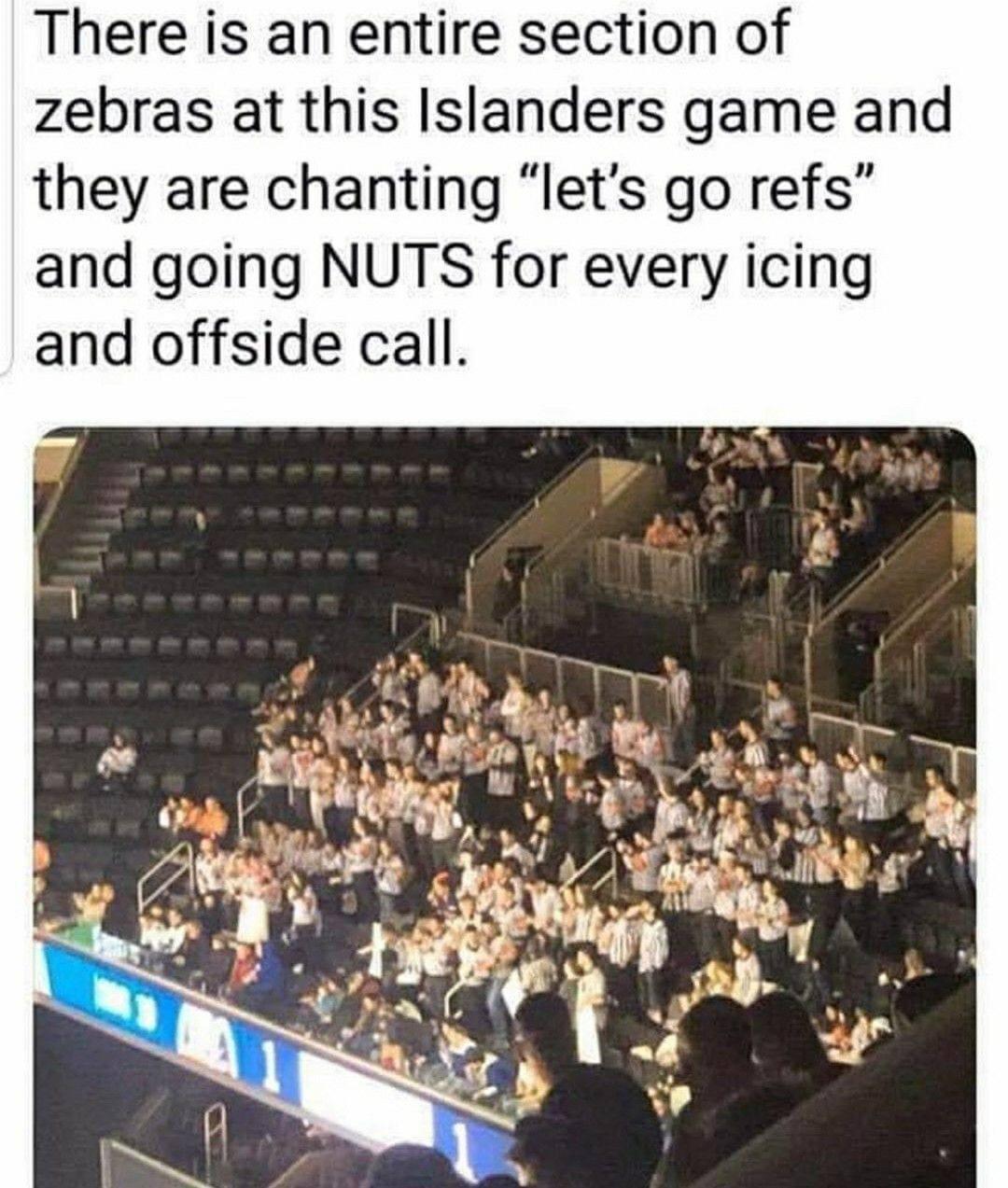 There is an entire section of zebras at this Islanders game and they are chanting lets go refs and going NUTS for every icing and offside call