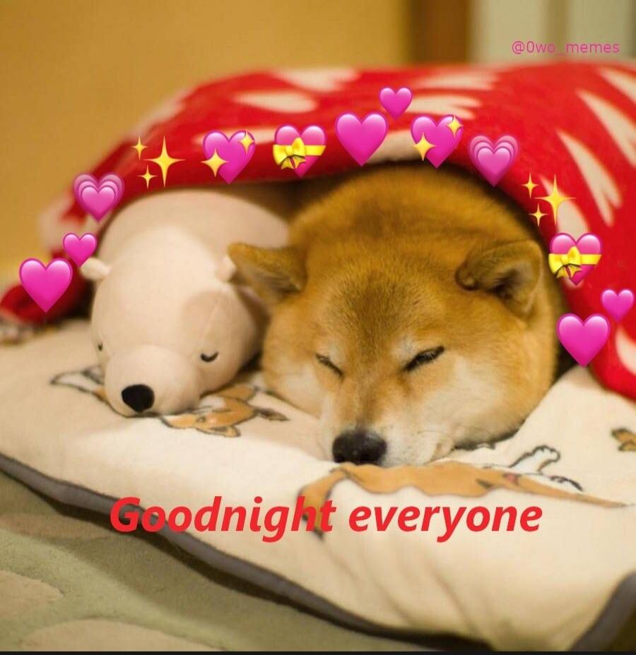 Goodnight everyone @0wo_memes