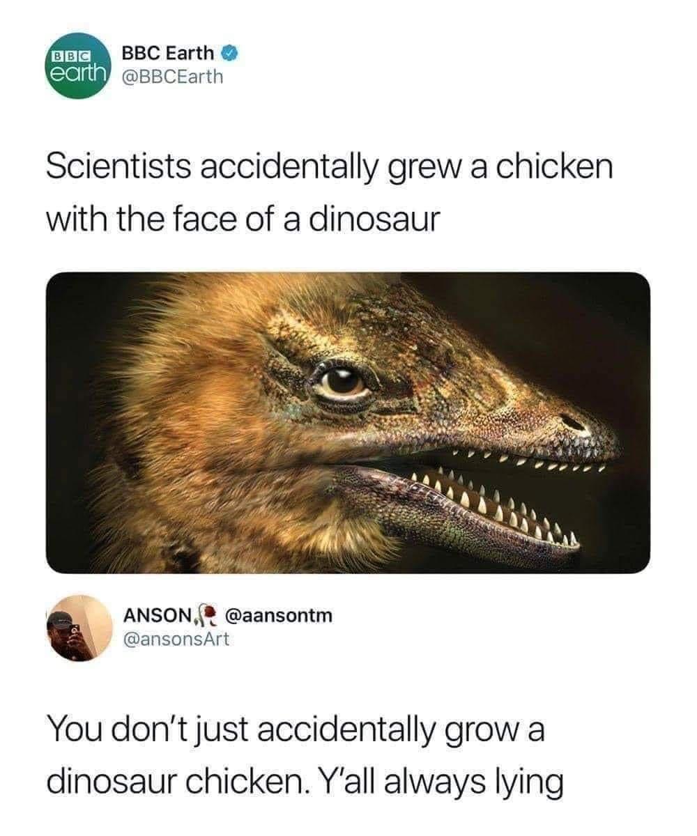 slci BBC Earth Eelll BBCEarth Scientists accidentally grew a chicken with the face of a dinosaur ANSON aansontm ansonsArt You dont just accidentally grow a dinosaur chicken Yall always lying