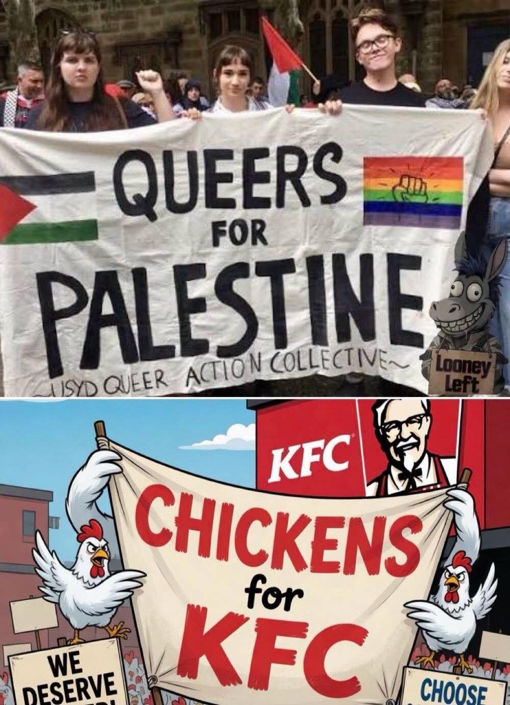 QUEERS FOR PALESTINE USYD QUEER ACTION COLLECTIVE Looney Left KFC CHICKENS for KFC WE DESERVE BETTER! CHOOSE
