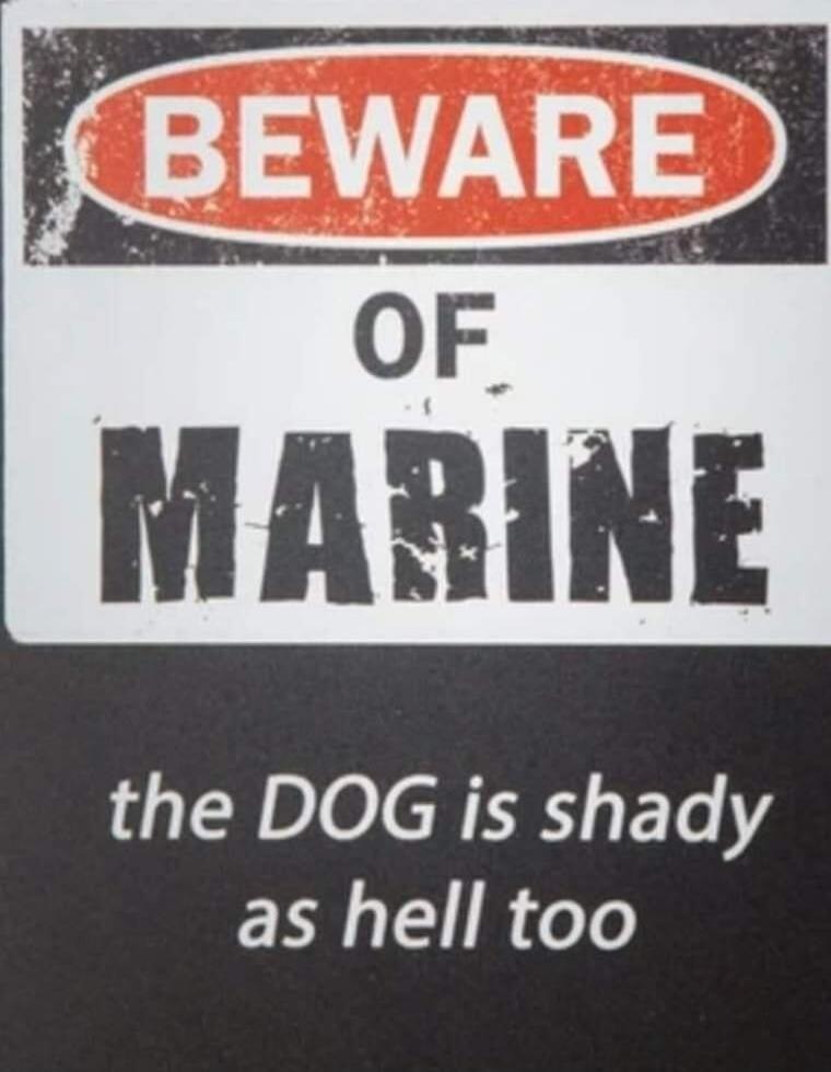 BEWARE OF MARINE the DOG is shady as hell too