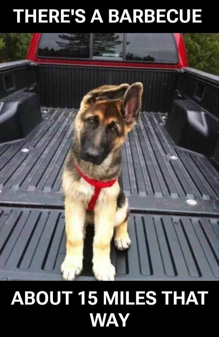 THERE'S A BARBECUE
ABOUT 15 MILES THAT WAY