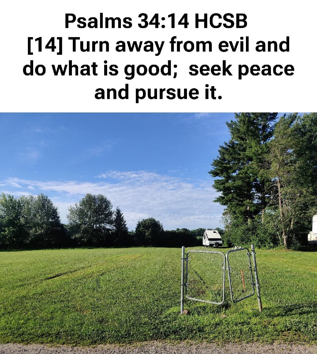 Psalms 34:14 HCSB [14] Turn away from evil and do what is good; seek peace and pursue it.