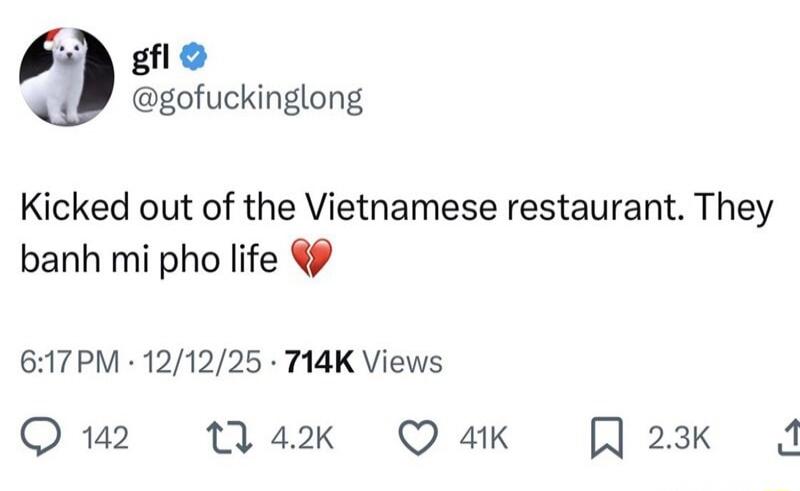 Kicked out of the Vietnamese restaurant. They banh mi pho life 💔