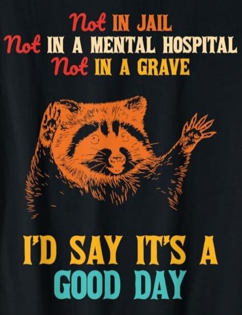 Not IN JAIL Not IN A MENTAL HOSPITAL Not IN A GRAVE I'D SAY IT'S A GOOD DAY