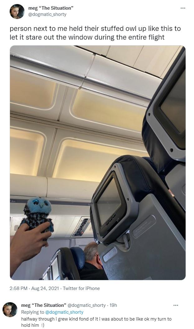 meg The Situation dogmatic_shorty person next to me held their stuffed owl up like this to let it stare out the window during the entire flight 258 PM Aug 24 2021 Twiitter for iPhone meg The Situation dogmatic shorty 19h J Replying to dogmatic shorty halfway through i grew kind fond of it i was about to be like ok my tur to hold him