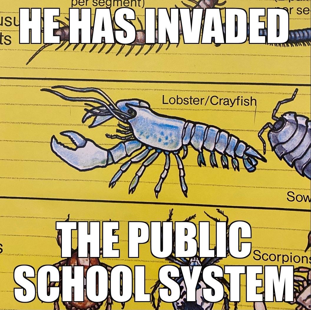 LobsterCrayfish