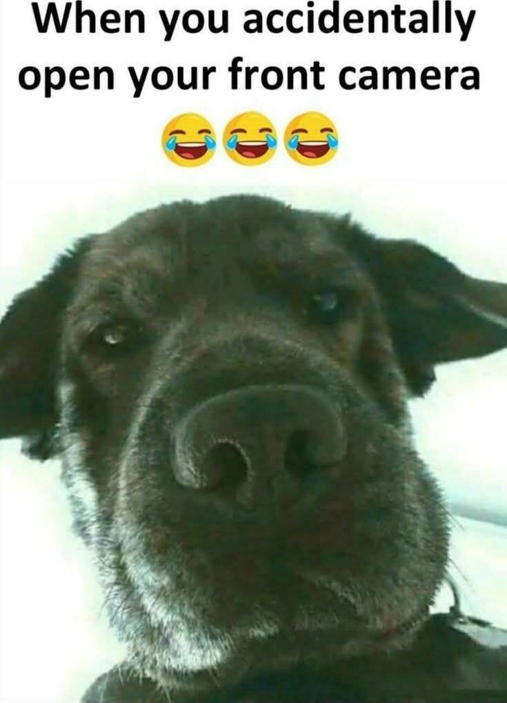 When you accidentally open your front camera 😂😂😂